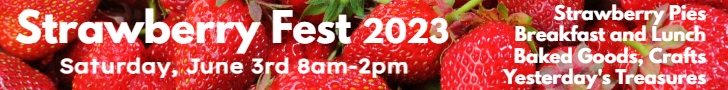 Strawberry Fest 2023